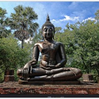 buddha im Urwald Thailands • <a style="font-size:0.8em;" href="http://www.flickr.com/photos/146118314@N07/31623811220/" target="_blank">View on Flickr</a>